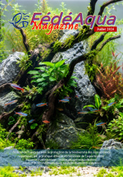 Publication du n° de juillet de FédéAqua Magazine