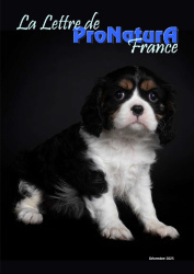 La Lettre de ProNaturA - Décembre 2025 : réservée aux adhérents