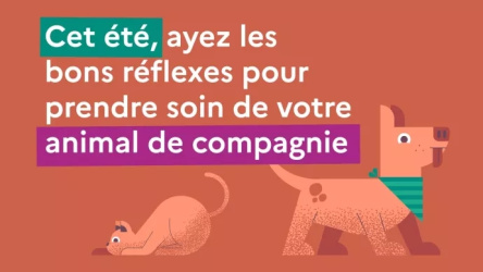 Communiqué de ministère de l'agriculture