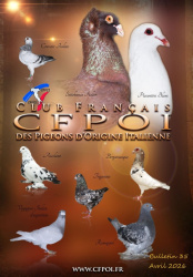 Revue  2026 CFPOI / CFPCI