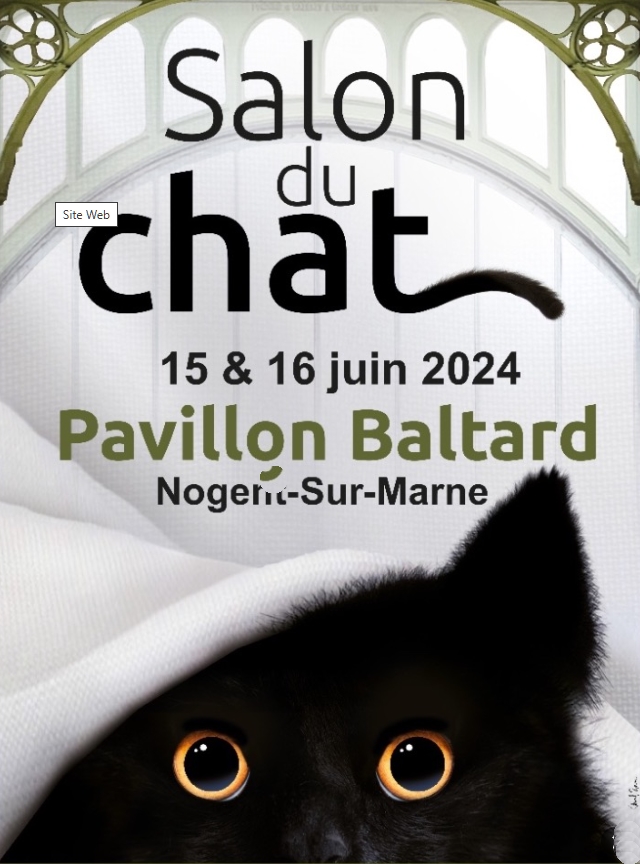 SalonDuChat2