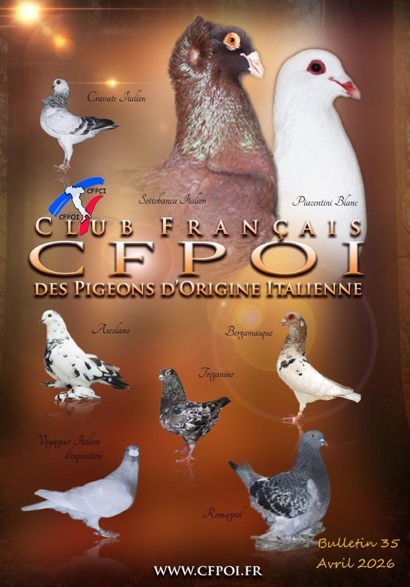 Couv CFPOI